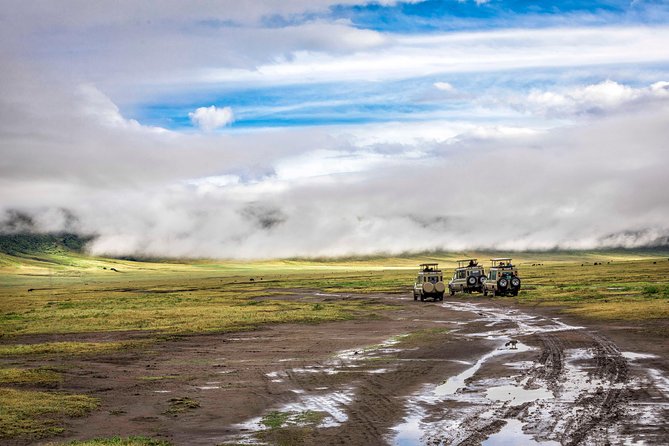 Full Day To Arusha National Park - Is $250.18 per person a fair price?