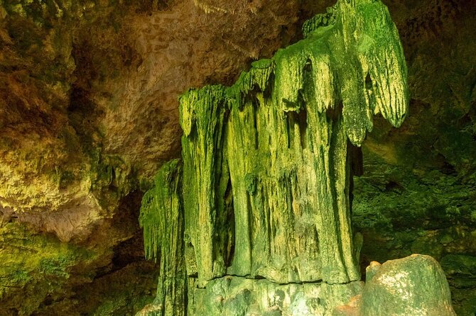 Full-day Tour Mnemba Jozani Forest Kuza Cave Paje Beach The Rock - Jozani Forest and the Zanzibar red colobus