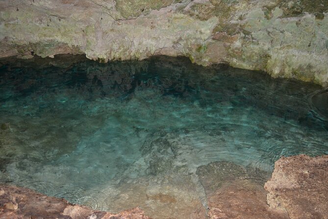 Full-day Tour Mnemba Jozani Forest Kuza Cave Paje Beach The Rock - The Rock: a memorable final view