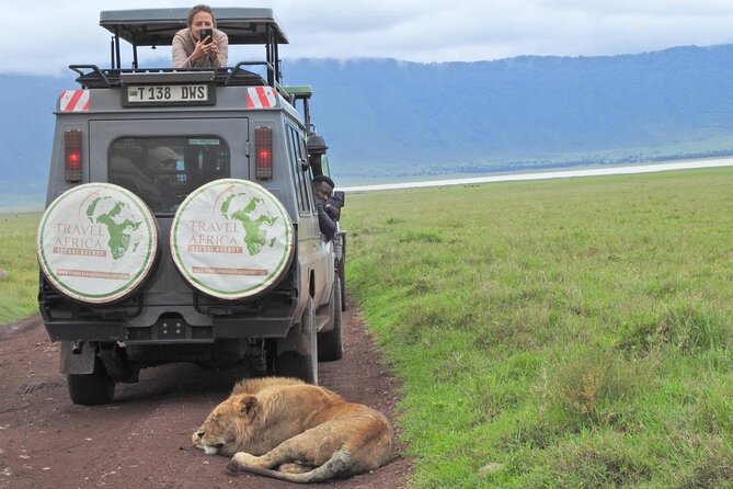 Full-Day Trip to Ngorongoro Crater from Arusha Town - Descending into the crater