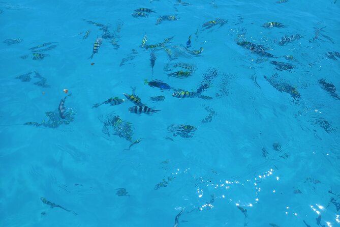 Fullday trip to Pungume and Uzi Island for Snorkeling and more - Leaving Kizimkazi with mask, fins, and a life jacket