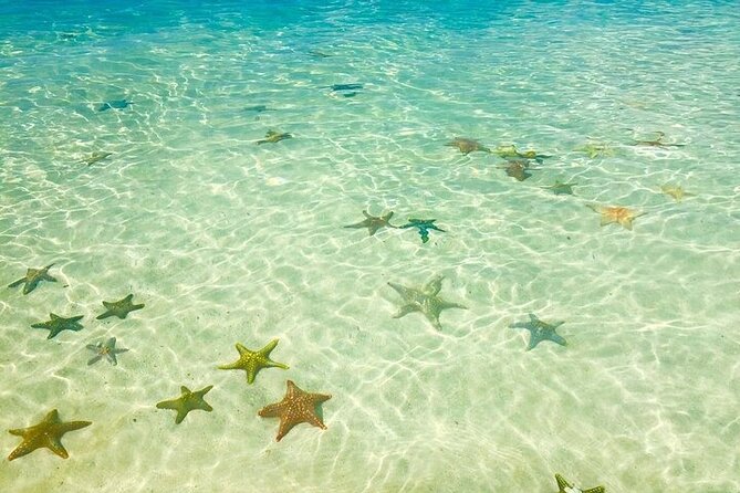 Fullday trip to Pungume and Uzi Island for Snorkeling and more - Pungume Sandbank, shade, fruit, and lunch
