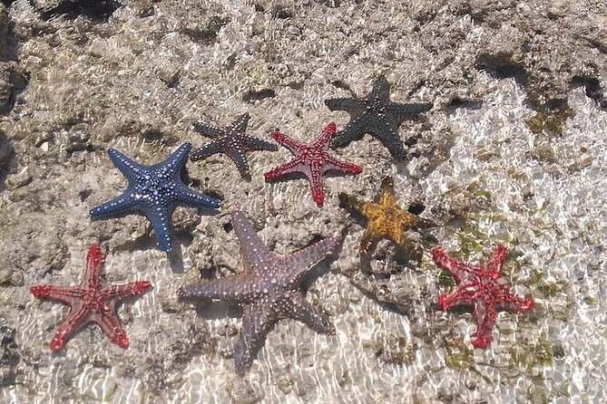 Fullday trip to Pungume and Uzi Island for Snorkeling and more - Uzi Island and the tide problem