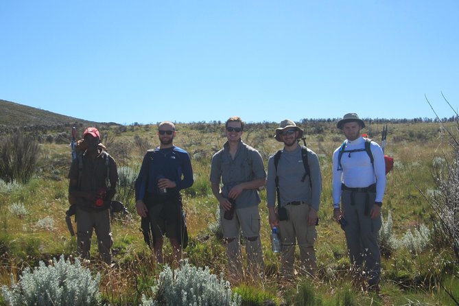 godsonadventures-plains2peaks Ltd - Day 1: Six hours among Tarangire’s elephants