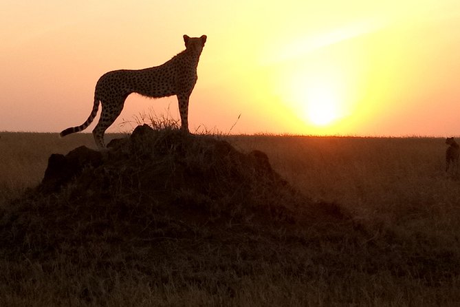 godsonadventures-plains2peaks Ltd - The overnight stay at Marera Valley Lodge
