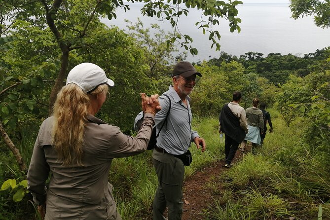 Gombe National Park Chimpanzee Trekking - Why Gombe is different from a standard safari