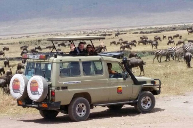 Group Safari 7 Days in Tanzania's Main Parks - Days 4 and 5: Give the Serengeti the time it deserves
