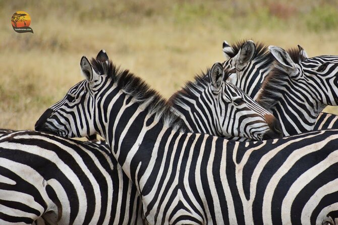 Group Safari 7 Days in Tanzania's Main Parks - Day 7: A final Arusha market visit and airport return
