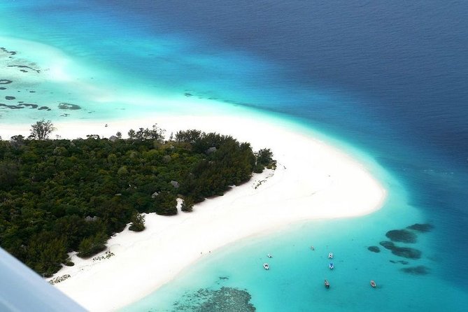 Half-Day Dolphin & Snorkeling Tour in Mnemba Island Zanzibar - Key points before you book