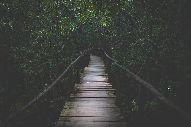 Half-Day Private Jozani Chwaka Bay Forest Tour in Zanzibar - Walking Under the Forest Canopy