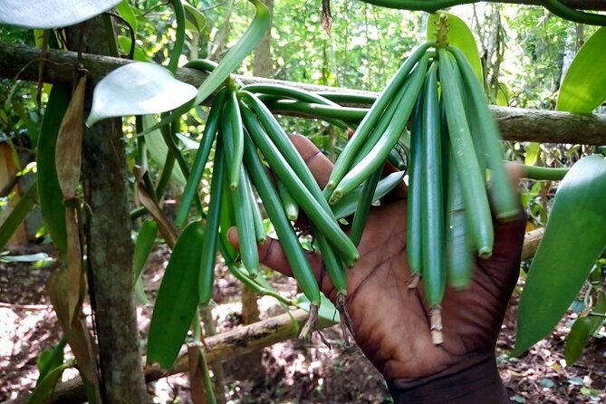 Half-Day Private Spice Tour in Kizimbani Farms, Zanzibar - Fruit and a traditional Zanzibar lunch