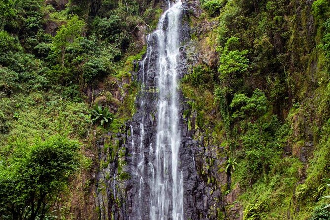 Half-Day Private Tour to Materuni Waterfalls and Coffee excursion - Coffee on a local farm