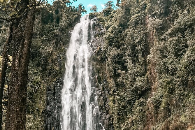 Half-Day Private Tour to Materuni Waterfalls and Coffee excursion - Timing, weather, and what to bring