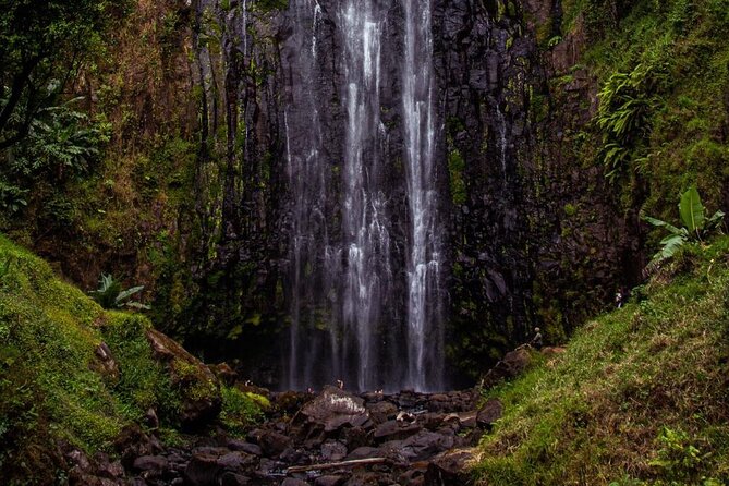 Half-Day Private Tour to Materuni Waterfalls and Coffee excursion - Who will enjoy this half-day outing