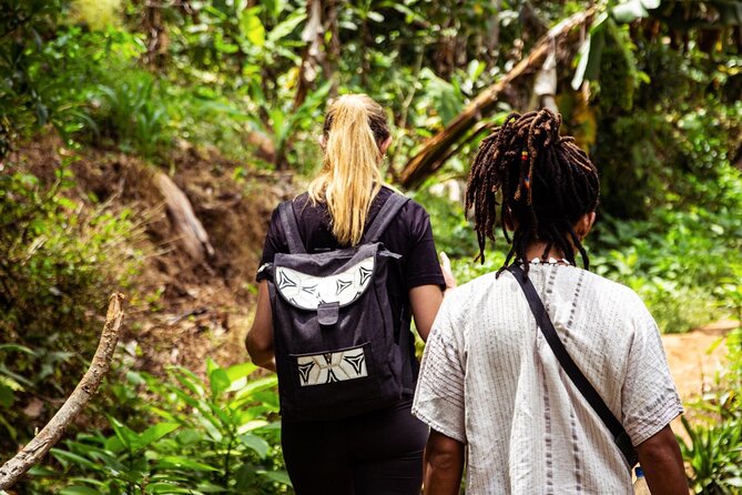 Half-Day Private Tour to Materuni Waterfalls and Coffee excursion - Final verdict: a worthwhile Moshi side trip