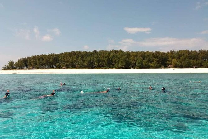 Half Day Zanzibar Mnemba Atoll Marine Reserve Snorkeling Tour - Key points to know before booking