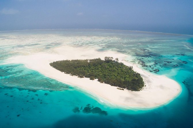 Half Day Zanzibar Mnemba Atoll Marine Reserve Snorkeling Tour - Marine life to watch for around the reserve