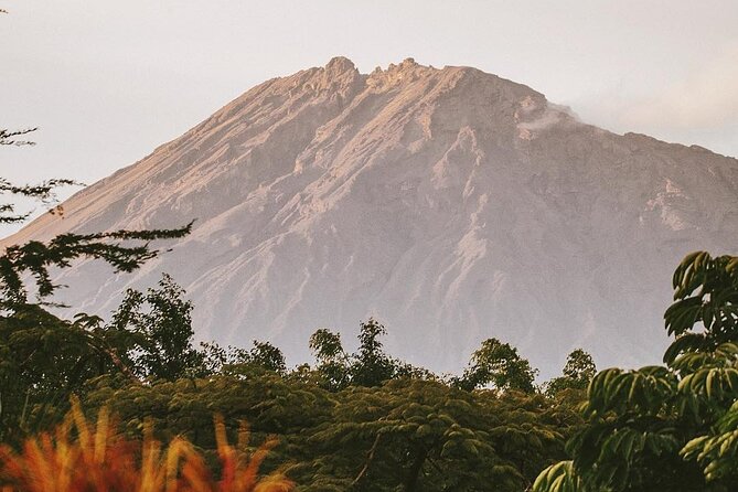 Hidden Arusha Waterfall, Coffee & Village Tour (All-Inclusive) - Mangalia Waterfalls and a chance to swim