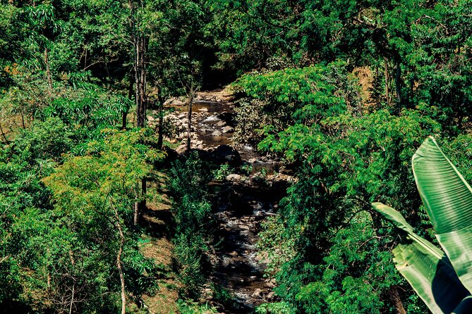Hidden Arusha Waterfall, Coffee & Village Tour (All-Inclusive) - Akheri viewpoint and the final mountain panorama