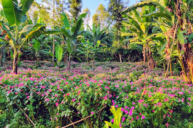 Hidden Arusha Waterfall, Coffee & Village Tour (All-Inclusive) - Who will get the most from this outing