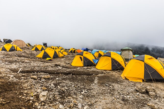 Hiking Mt Kilimanjaro 7 days scenic route & moderate challenge - Day 3: Lava Tower at 4,630 meters, then down to Barranco