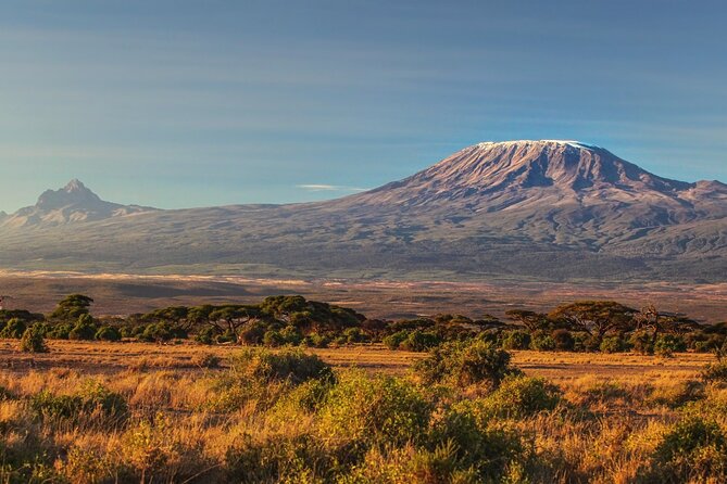 Hiking Mt Kilimanjaro 7 days scenic route & moderate challenge - Day 6: Stella Point, Uhuru Peak, and the long descent