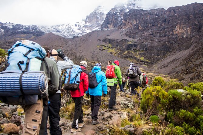 Hiking Mt Kilimanjaro 7 days scenic route & moderate challenge - Day 1: Machame Gate and the wet rainforest