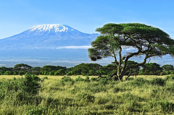 Hiking Mt Kilimanjaro 8 days, the most scenic route up Kili - Day 4: Lava Tower, Shark’s Tooth, and the Barranco approach