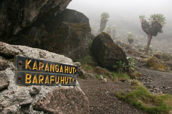 Hiking Mt Kilimanjaro 8 days, the most scenic route up Kili - Day 6: Karanga to Barafu Camp