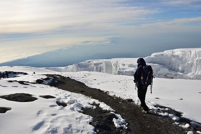 Hiking Mt Kilimanjaro 8 days, the most scenic route up Kili - Day 2: Heather country and the Shira Plateau