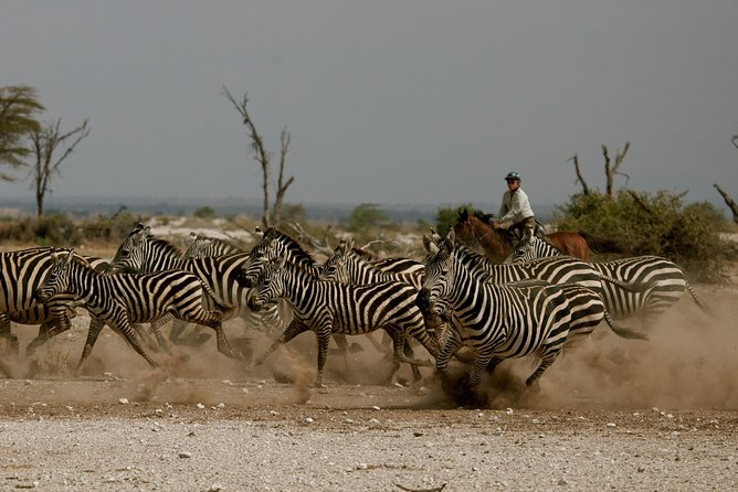 Horse safaris in Tanzania - Key points for your Arusha horse safari