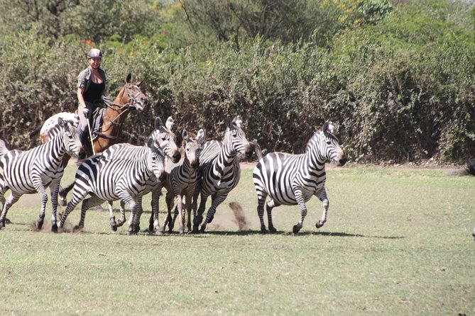 Horse safaris in Tanzania - How the two-hour route works for different riders