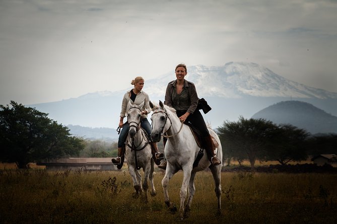 Horse safaris in Tanzania - Safety, horses, and the feel of the ride