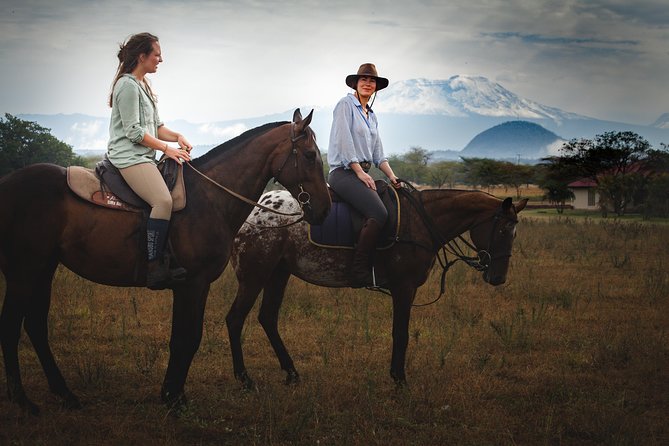 Horse safaris in Tanzania - Zebra, wildebeest, and antelope along the estate tracks