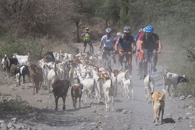 Hot Springs Bike tour - Leaving the sugar cane behind