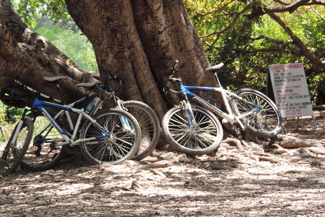 Hot Springs Bike tour - What the $145 price covers