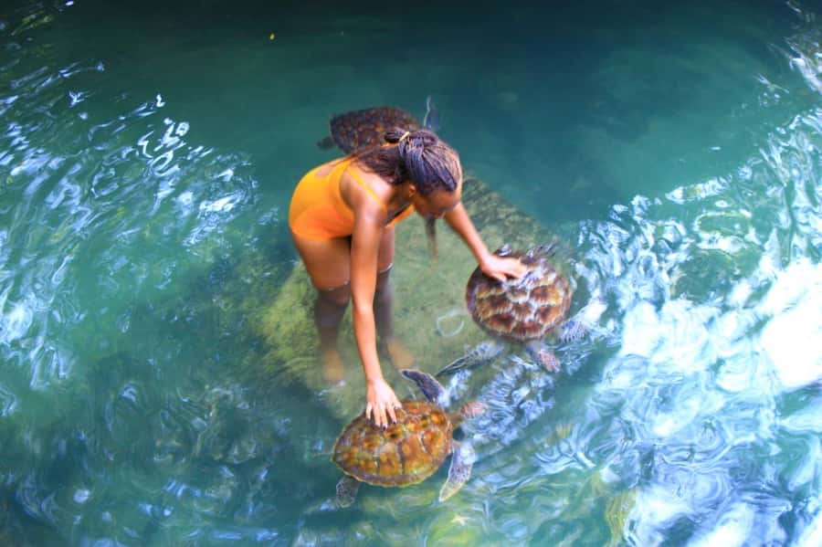 Joazani forest & Spice farm with lunch - What the 8:00 start means for your day