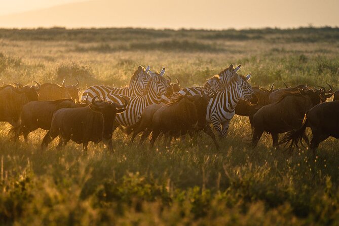 Joining Safari from Mwanza - The guide makes the biggest difference