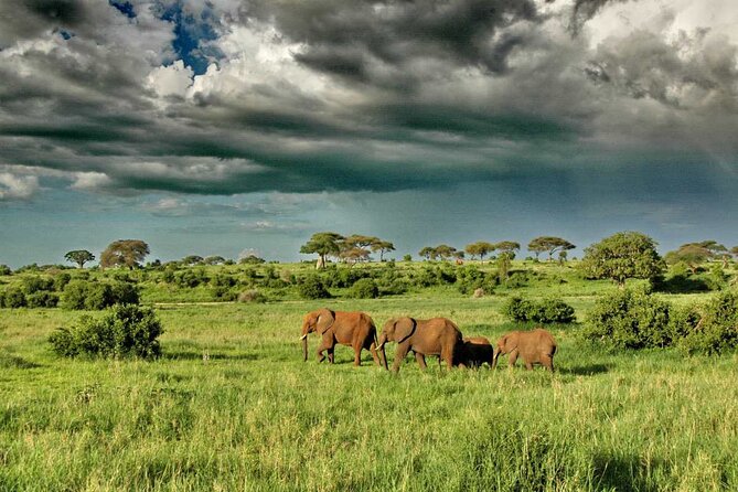 Joining Safari from Mwanza - Practical details before you book