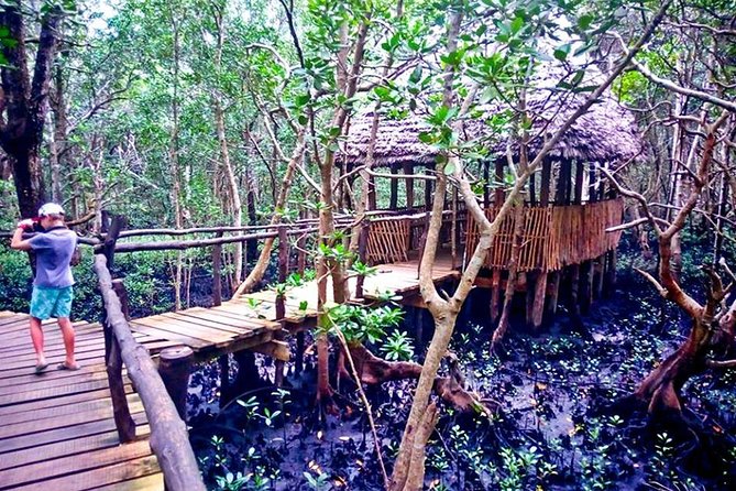 Jozani Forest - Watching Zanzibar’s red colobus monkeys