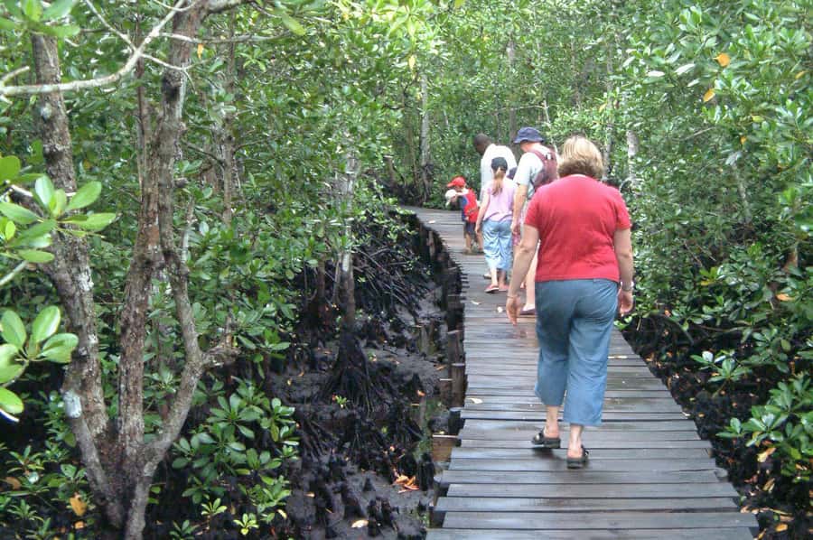 Jozani Forest, kuza cave and mtende beach - What to bring and how to prepare