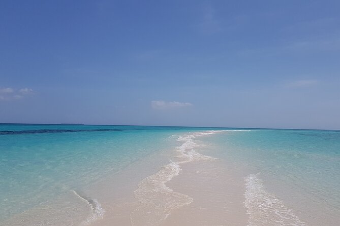Jozani Forest, Kuza Cave, Paje Beach and The Rock Restaurant - Four Zanzibar highlights in one long day