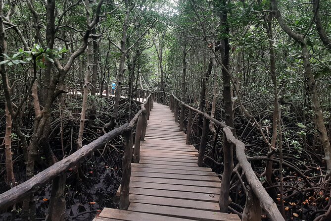 Jozani Forest, Kuza Cave, Paje Beach and The Rock Restaurant - The Rock Restaurant: photograph first, lunch second
