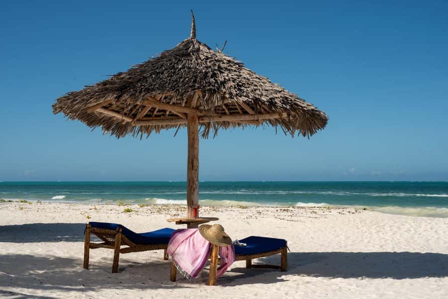 Jozani Forest & Paje Beach Trip with The Rock Restaurant - A forest morning with Zanzibar’s red colobus monkeys