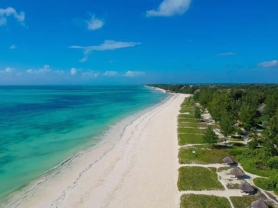 Jozani Forest & Paje Beach Trip with The Rock Restaurant - Who will enjoy this Zanzibar combination