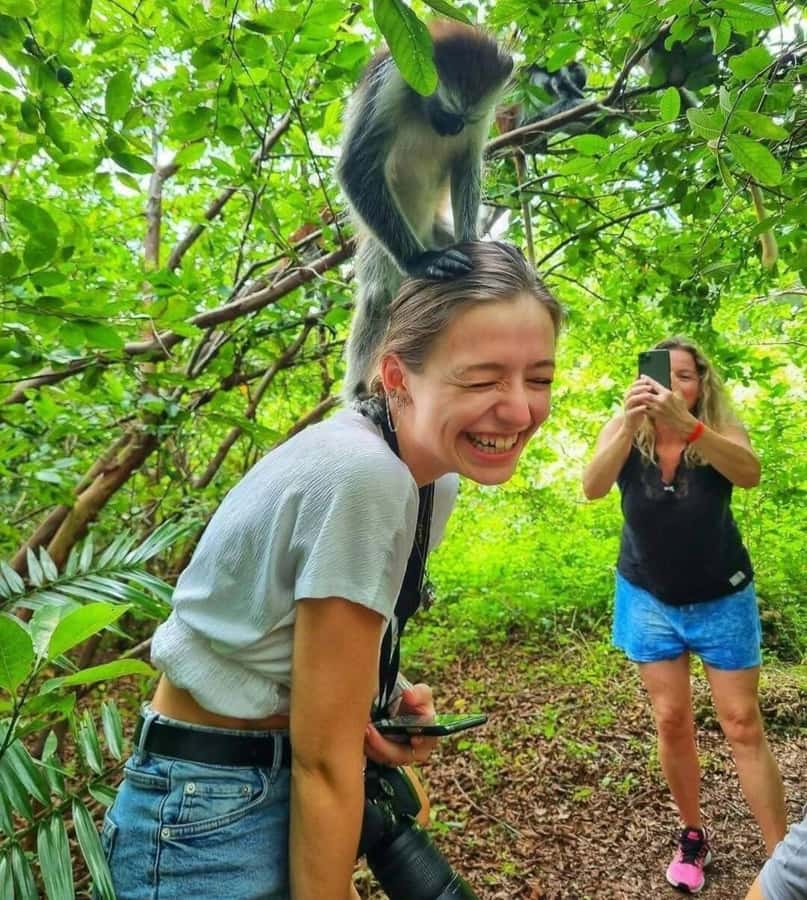 Jozani Forest, Sea Turtles, Blue Lagoon, Starfish & The Rock - Jozani Forest: red colobus monkeys beneath the canopy