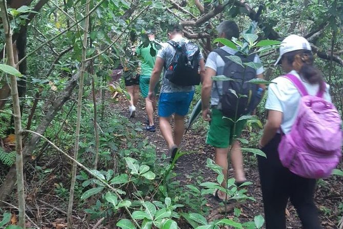 Jozani Forest Tour - Why Jozani Forest deserves a place in your Zanzibar plans