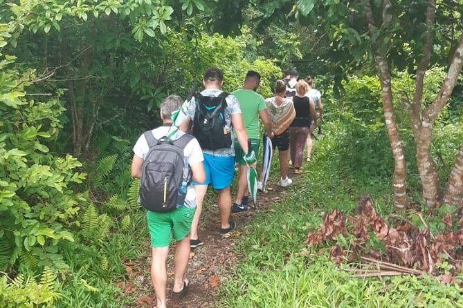 Jozani Forest Tour - Meeting the Zanzibar Red Colobus monkeys
