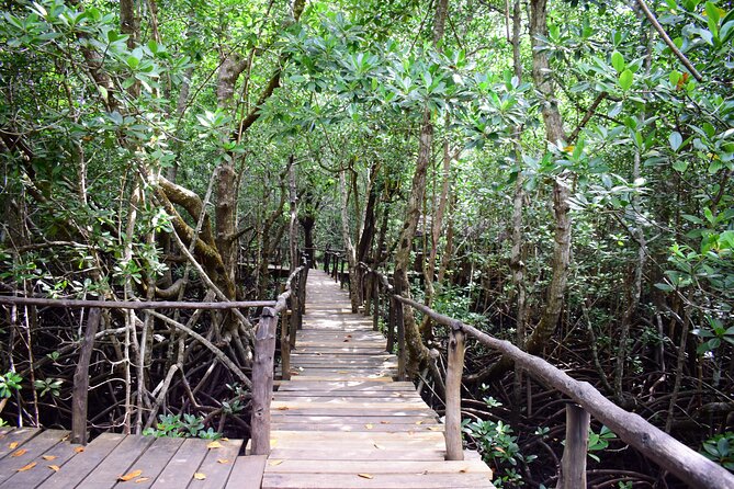 Jozani Forest Tour - What the $90.26 price includes
