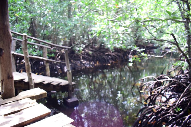 Jozani Forest Tour - How the guide can shape the morning